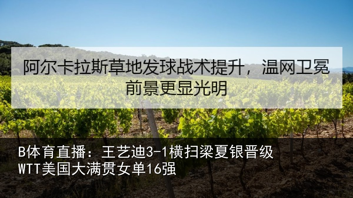 B体育直播:王艺相关情况WTT美国大满贯女单16强