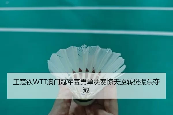wang-chu-qin-ao-men-guan-jun-sai-nan-dan-jue-sai-jing-tian-ni-zhuan-fan-zhen-dong-duo-guan-2-993.jpg