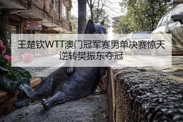 王楚钦WTT澳门冠军赛男单决赛惊天逆转樊振东夺冠