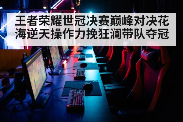 王者荣耀世冠决赛巅峰对决花海逆天操作力挽狂澜带队夺冠